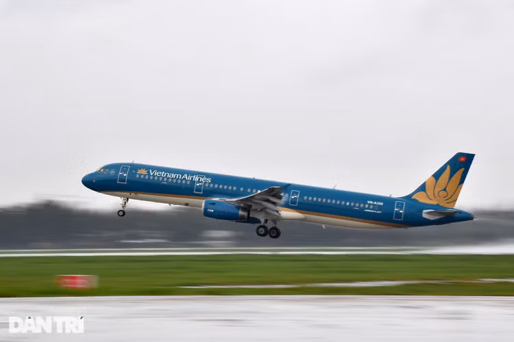 Vietnam Airlines rao bán 11 chiếc máy bay Airbus - 1