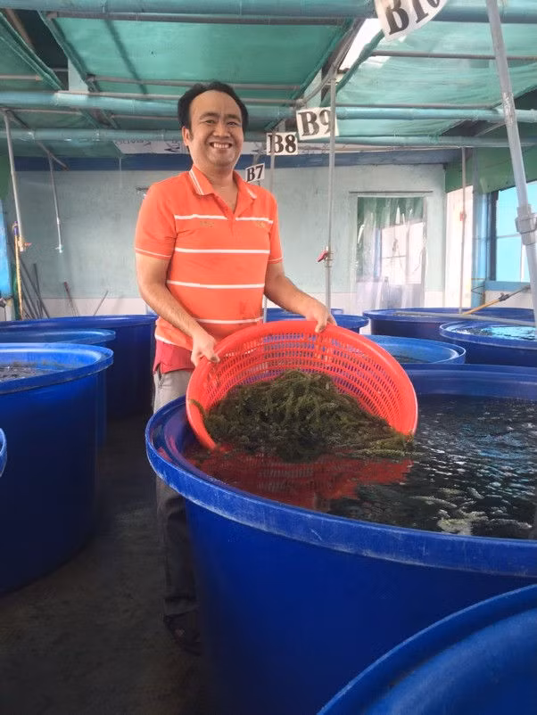 Từ một kỹ sư dầu khí, niềm đam mê khởi nghiệp và tình yêu với nông sản Việt đã giúp anh Trần Văn Tươi quyết tâm đầu tư và sản xuất rong nho trên quy mô lớn.