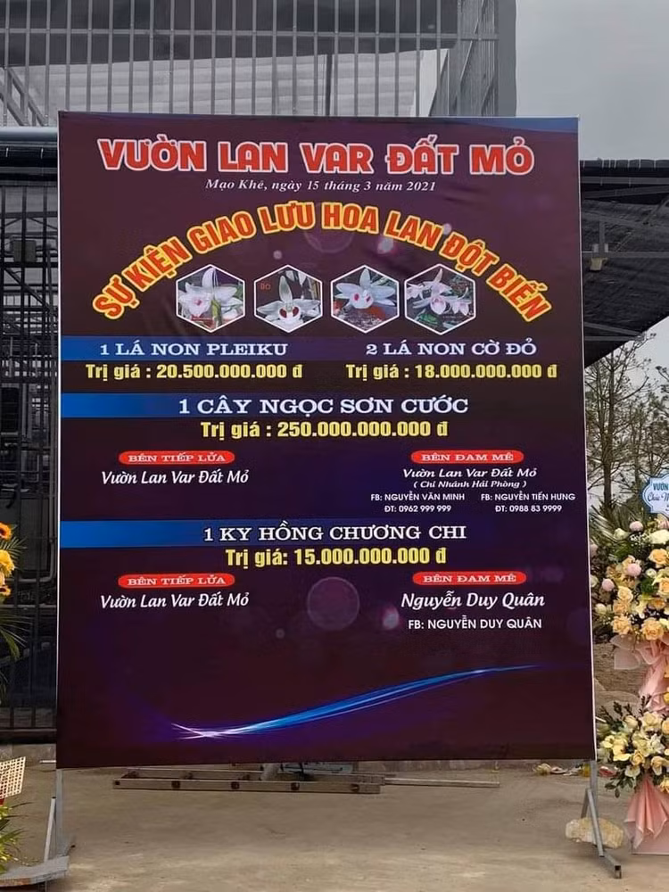 Quảng Ninh vào cuộc xác minh thương vụ lan var 250 tỷ đồng - 2