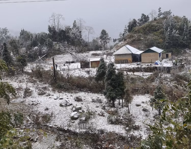 tuyet roi o Sa Pa va Y Ty anh 3
