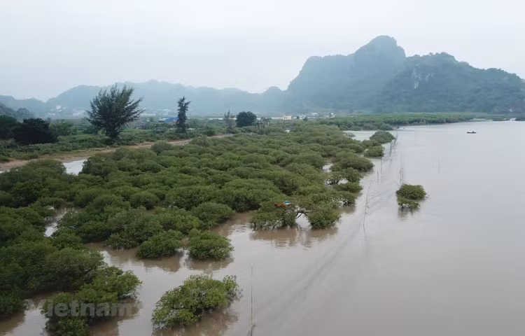 Ảnh chỉ có tính chất minh họa. (Nguồn: PV/Vietnam+) 
