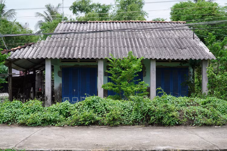 hồ văn cường và phi nhung ảnh 3 ho van cuong va phi nhung anh 3