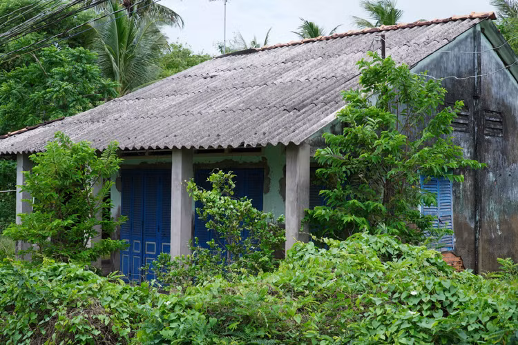 hồ văn cường và phi nhung ảnh 6 ho van cuong va phi nhung anh 6