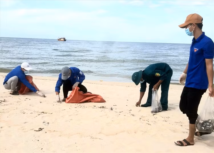 Các lực lượng chức năng phối hợp với địa phương nhanh chóng xử lý số dầu loang dạt vào bờ. Ảnh: CTV
