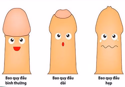 bao-quy-dau.jpg