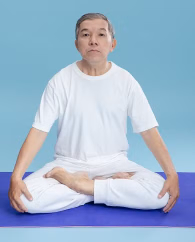 hoa-sen-1.png