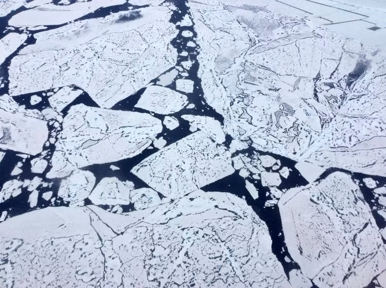 sea-ice-777x580.jpg