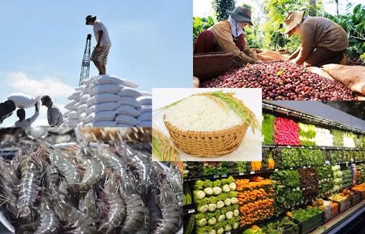 Thủ tướng chỉ đạo thúc đẩy sản xuất, lưu thông, xuất khẩu nông sản - 1
