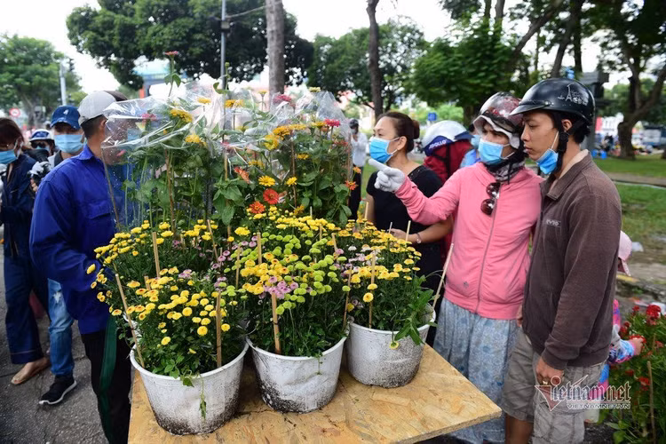 Tiểu thương rướm nước mắt bán tháo, cắt bỏ hoa ế ngày 30 Tết