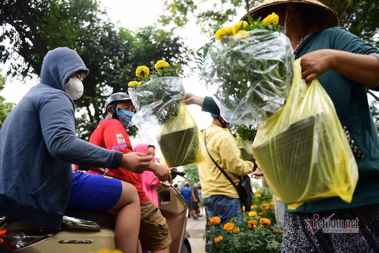 Tiểu thương rướm nước mắt bán tháo, cắt bỏ hoa ế ngày 30 Tết