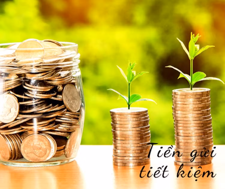 tiet-kiem.png