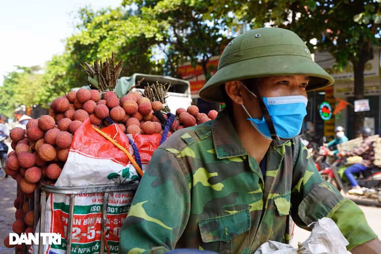 Bắc Giang: Nông dân kêu trời vì giá vải thiều lên xuống thất thường - 6