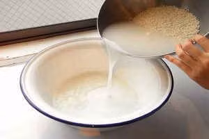 Trị rầy sáp bằng nước vo gạo