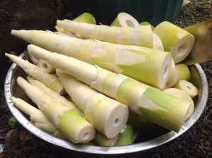 Những thực phẩm tưởng an toàn nhưng lại có thể gây hại ảnh 2