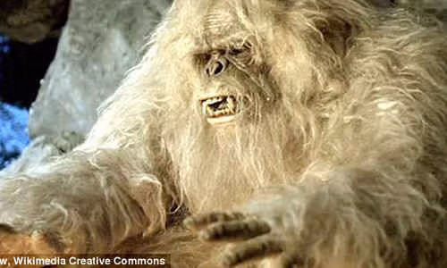 Bí ẩn sinh vật huyền bí Yeti đã được giải mã? ảnh 1