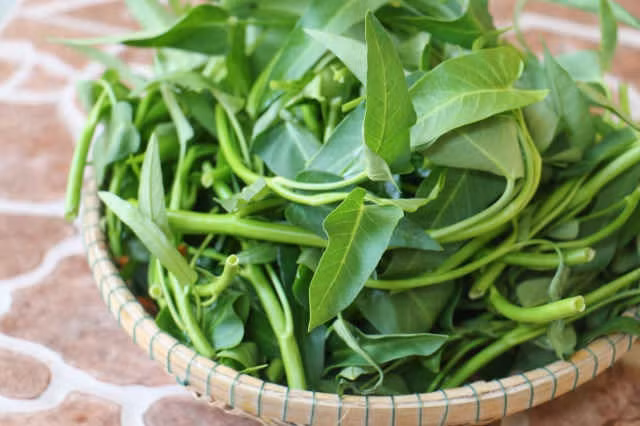 Rau muống.