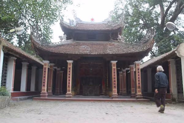 Mẹo chữa bệnh hiểm nghèo ảnh 1