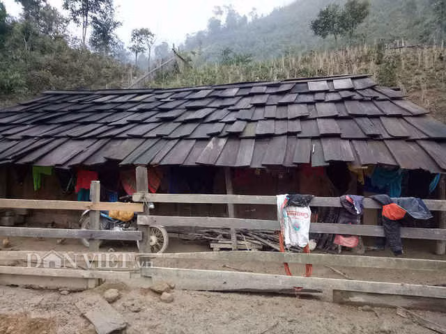 Làng 100% hộ nghèo nhưng nhà toàn bằng gỗ quý ảnh 2
