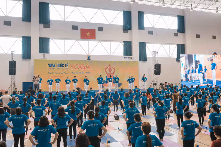 Màu áo xanh thiên thanh trải dài Nhà thi đấu Hồ Xuân Hương TPHCM.