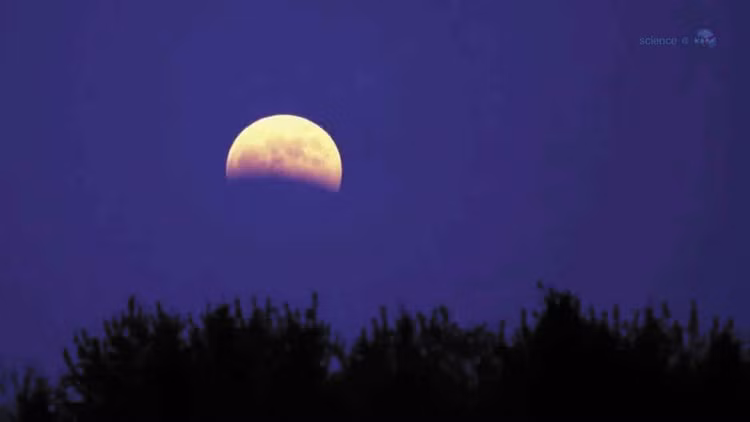 /Uploaded/khds.1cdn.vn/2018/09/16/nguyet-thuc-11.jpg