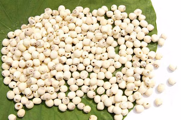 dạ dày