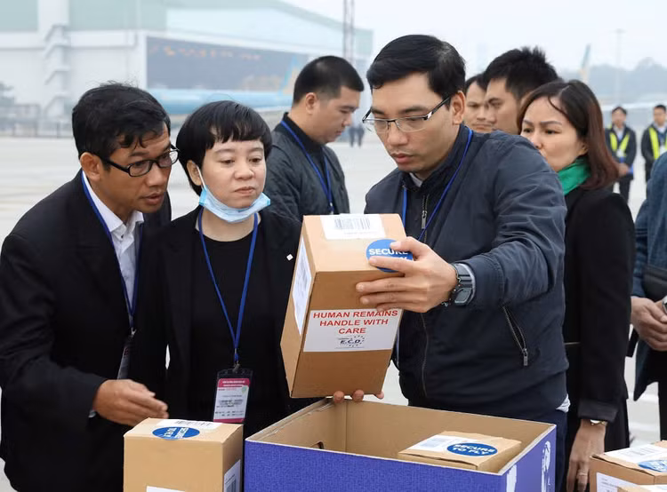 Bàn giao thi hài và tro cốt các nạn nhân còn lại trong thảm kịch Essex ở sân bay Nội Bài ảnh 4