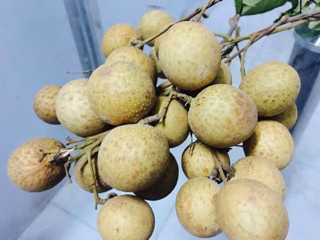 vượt quá ngưỡng, lưu huỳnh có thể gây tổn hại sức khỏe chúng ta.