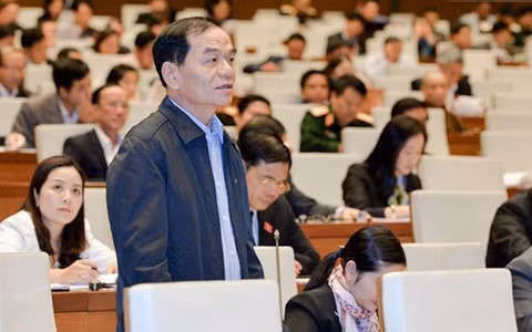 Dai bieu Quoc hoi: Phai dinh chi chuc vu bo me co con duoc nang diem hinh anh 2 