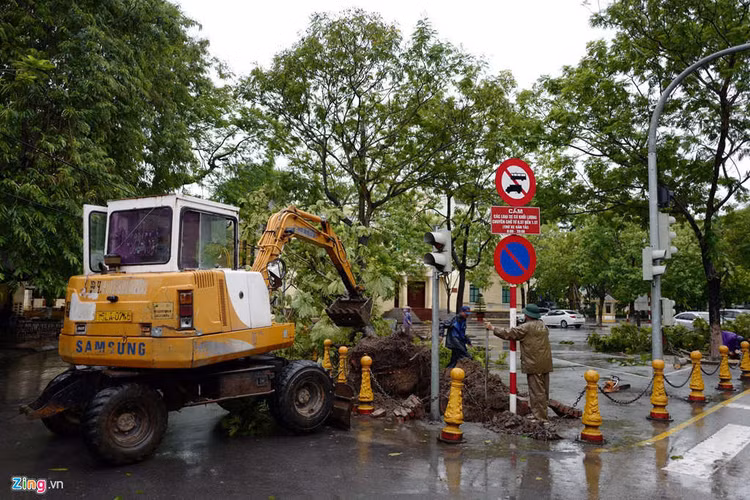Cay do hang loat o Ha Noi, Hai Phong sau bao Wipha hinh anh 6 