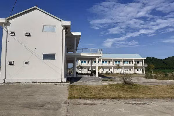 Trại bò nghìn tỷ liên quan ông Trần Bắc Hà giờ thành vườn chuối - Ảnh 5. Trại bò nghìn tỷ liên quan ông Trần Bắc Hà giờ thành vườn chuối - Ảnh 5.