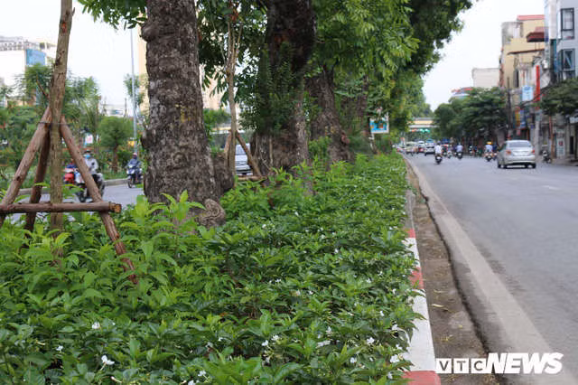 Ảnh: Đường Láng thay đổi bất ngờ, dân Thủ đô cứ ngỡ đang lạc vào đường phố Singapore - Ảnh 5.