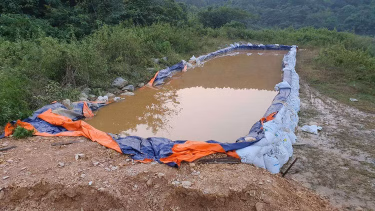 Khi nước thải từ trang trại lợn cách chỗ cấp nước sinh hoạt vài km