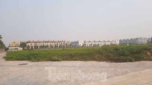 Bitexco mang 14 lô đất dự án đối ứng BT tỷ đô thế chấp ngân hàng - Ảnh 2.