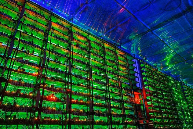 dao-bitcoin-2.jpg