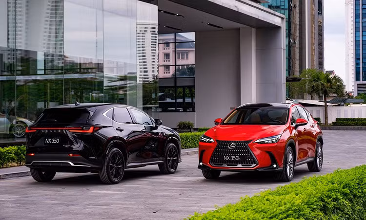lexus-nx-2022.jpg
