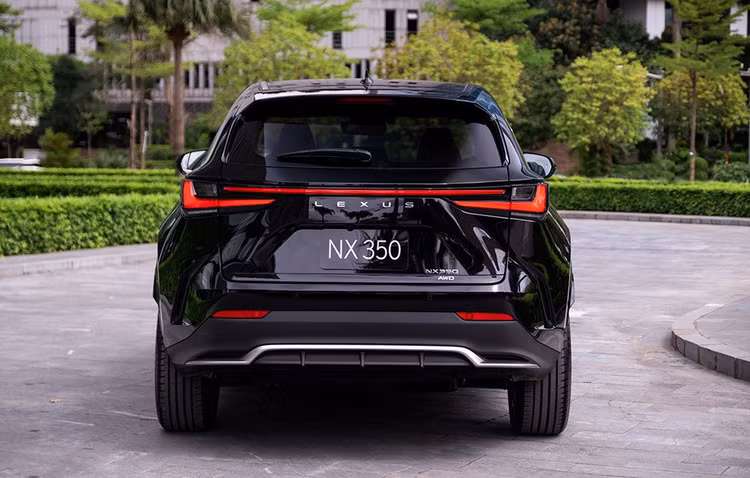 lexus-nx-2022-5.jpg