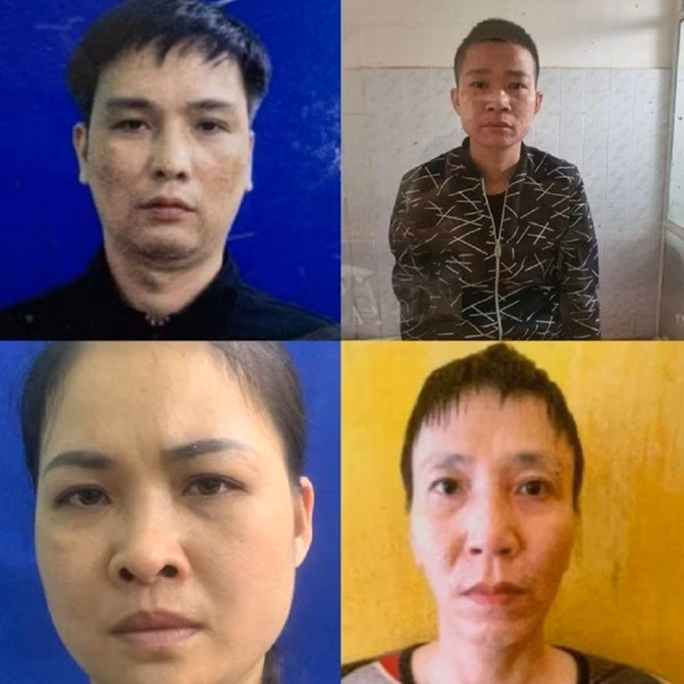 4-dt.jpg