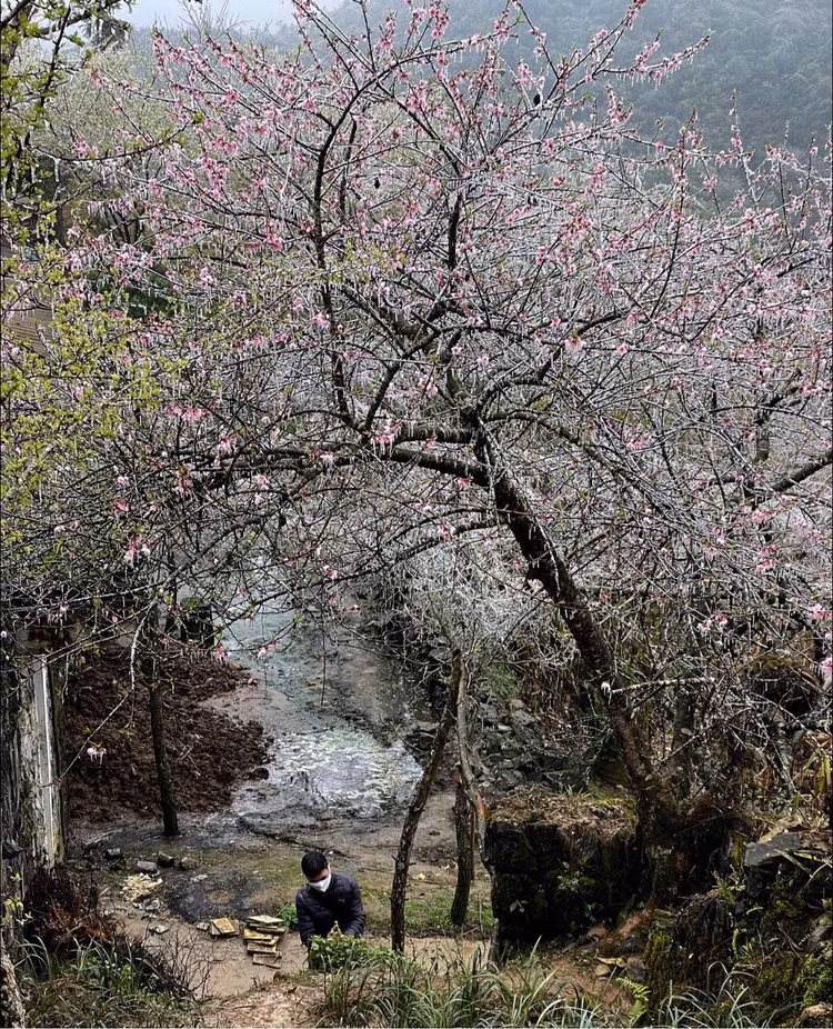 giang-a-phon.jpg