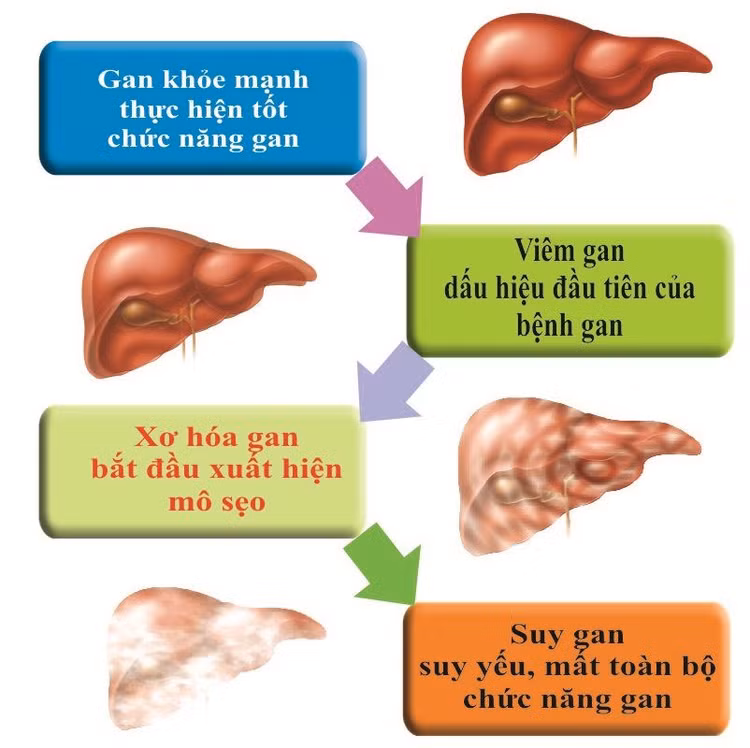 duong-gan.jpg