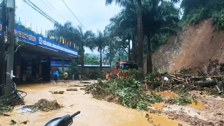 mua-lu-bac-kan.jpeg