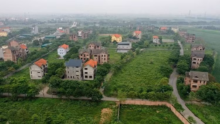 bo-hoang.jpg