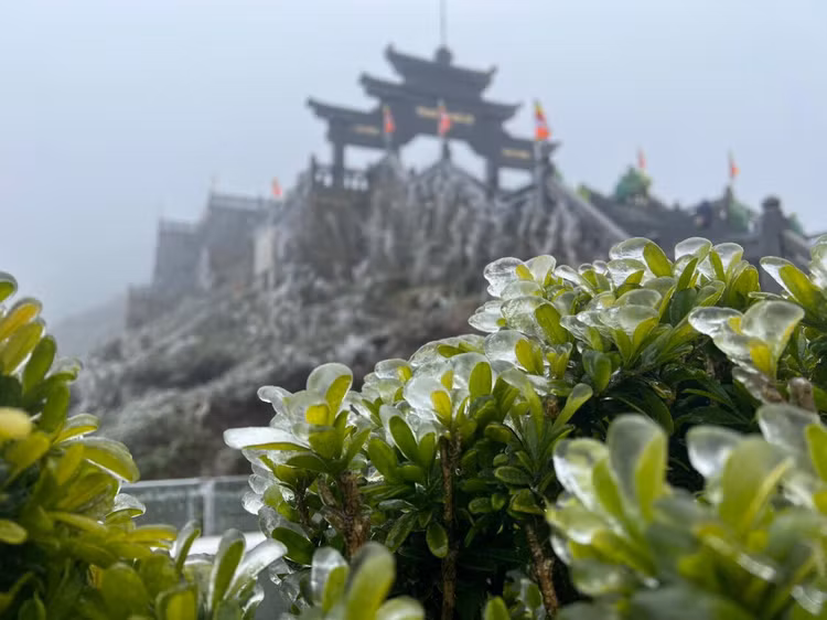fansipan-bang-gia-4.jpg