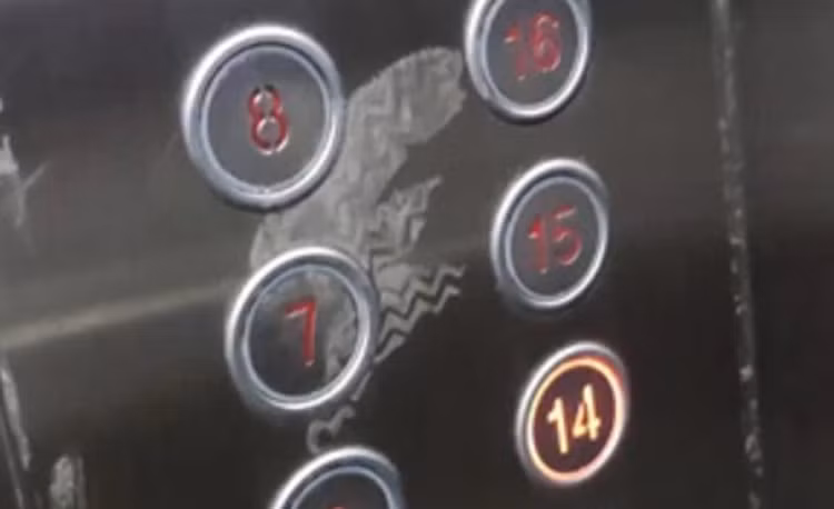 chan-ne.png