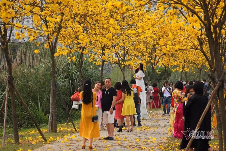 duong-hoa-phong-linh-2.jpg