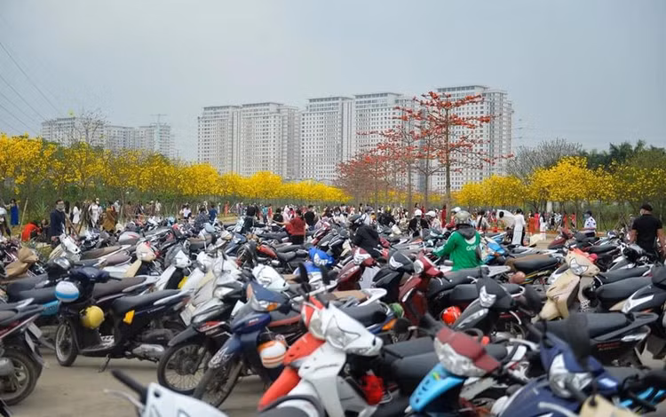 duong-hoa-phong-linh-6.jpg