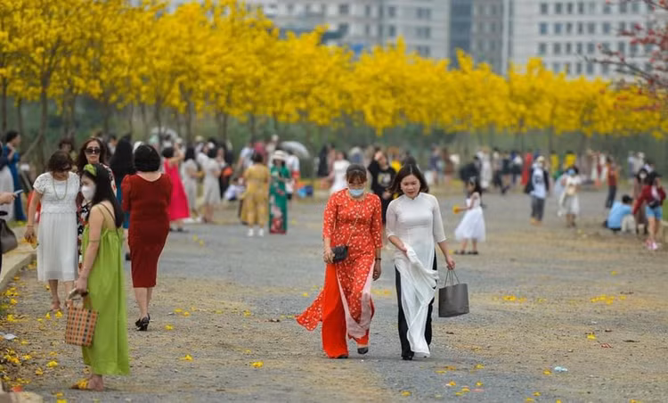 duong-hoa-phong-linh-5.jpg
