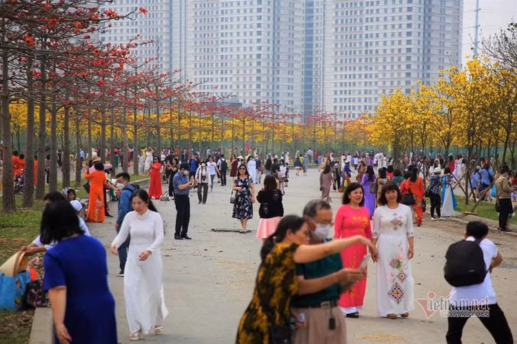 duong-hoa-phong-linh-1.jpg