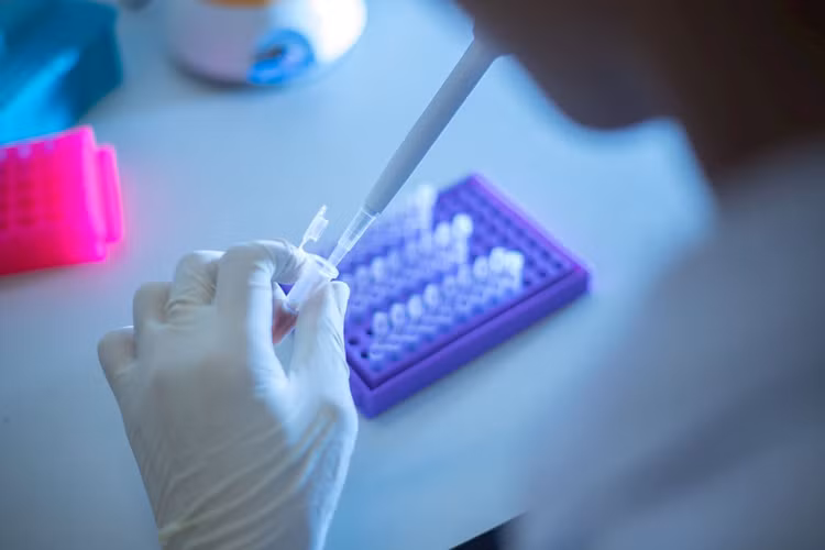 anh-lab-2.jpg