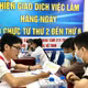 [VIDEO] 1,6 triệu thanh niên Việt Nam thuộc nhóm 3 không