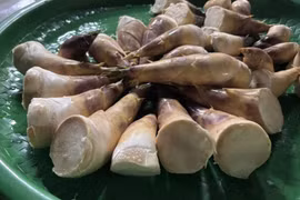 Nông dân Thái Nguyên bứt phá thu nhập nhờ trồng măng Lục Trúc